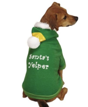 Casual Canine Green Elf Hoodie for dogs size medium